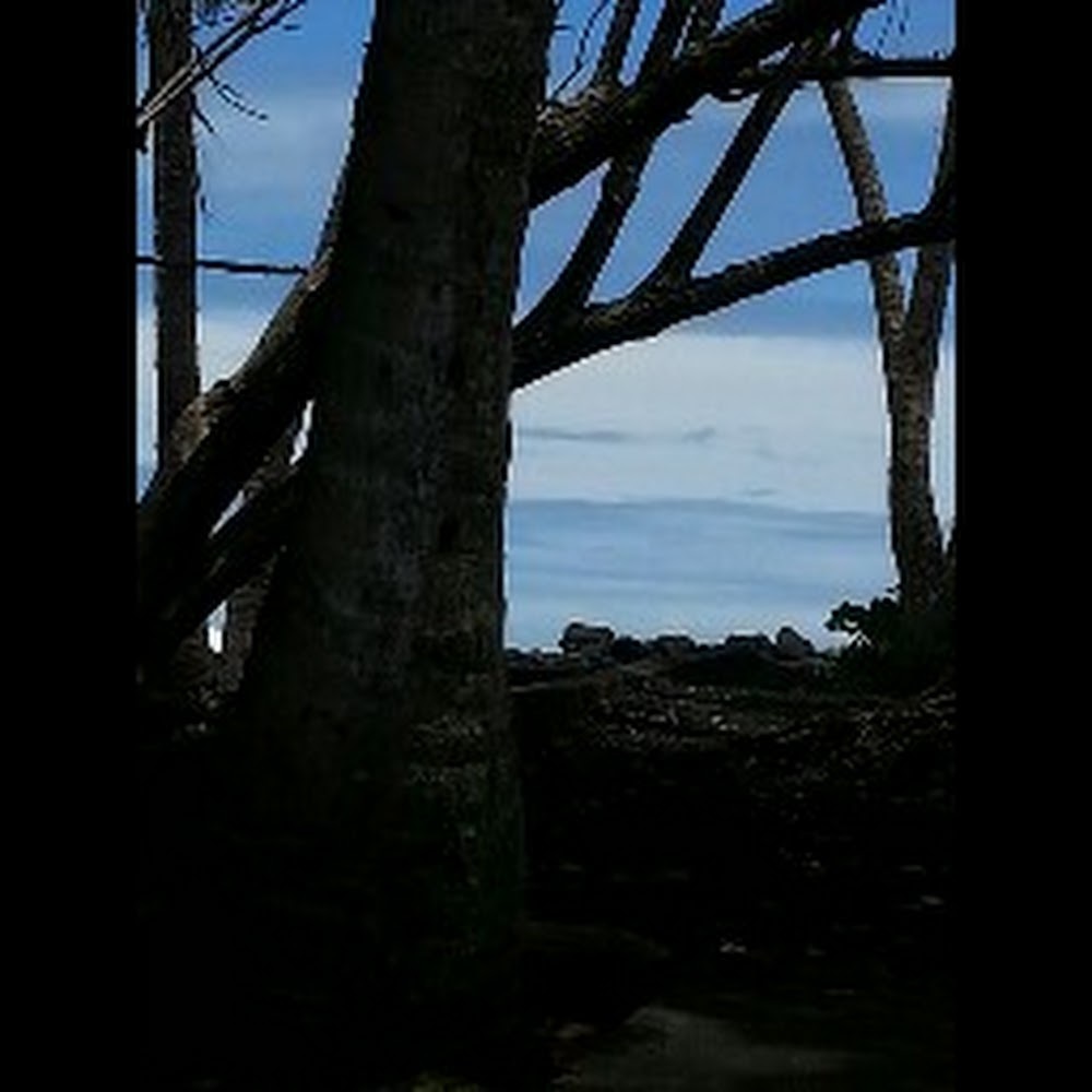 Meet your Posher, June